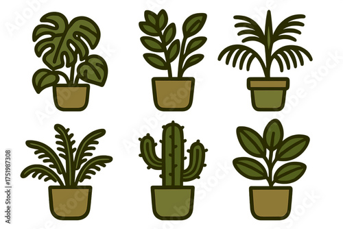 Collection of six potted indoor plants including monstera, cactus, and palm varieties