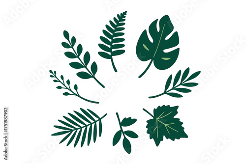 Dark green tropical and forest foliage elements including monstera palm and fern leaves arranged decoratively