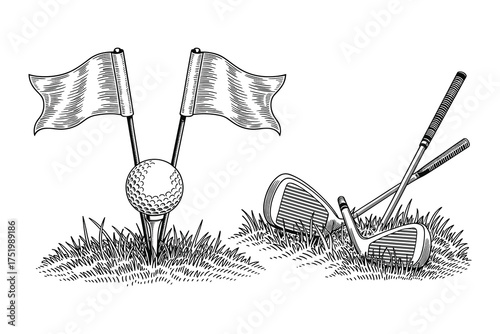 Golfing Equipment Vector Illustration Clubs Flags Ball Sport Graphic Design