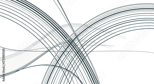 Elegant abstract composition of dynamic, intersecting curved lines in shades of grey.