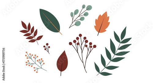 Beautiful autumn foliage and berries scattered across a white background.