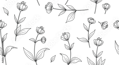 A simple black and white botanical illustration with dotted lines showing connections.
