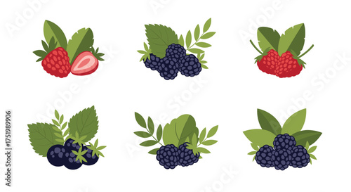 Collection of ripe berries and green leaves arranged in small clusters.