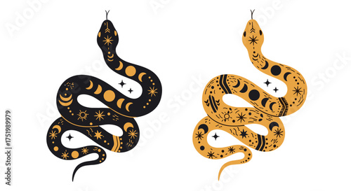 Mystical celestial snake illustration with moon phases and stars.