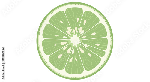 Fresh lime slice juicy and vibrant green citrus fruit.