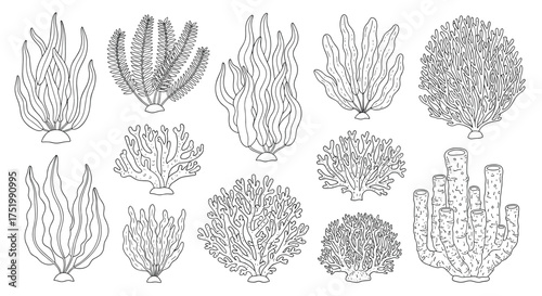 Collection of various potted plants and decorative shrubs in a simple outline style.