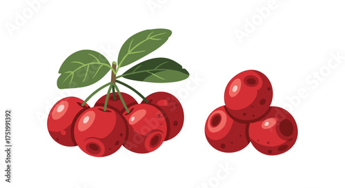 A cluster of ripe red cherries and a small pile of cherries.