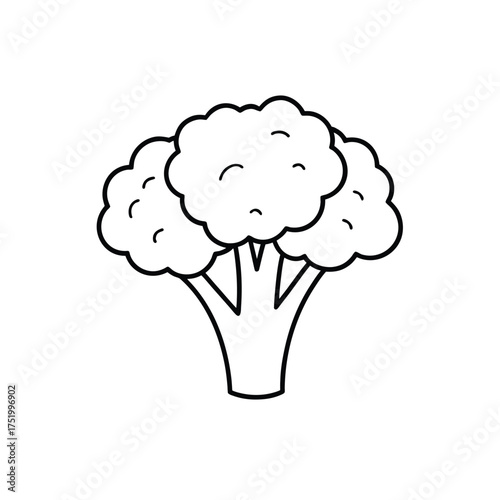 Minimal black line art vector of single broccoli, isolated on white background, clean flat  icon