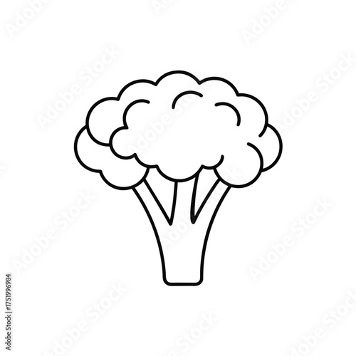 Minimal black line art vector of single broccoli, isolated on white background, clean flat Vector icon 