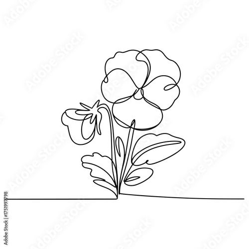 Pansy Flower Line Drawing Vector. Single Continuous Line Art for Garden