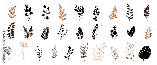 Big hand drawn colorful plant set of wildflowers and ferns - universally usable. Botanical, chic and trendy plants. Elegant leaves for your own design. Flower branch and minimalistic modern plants.