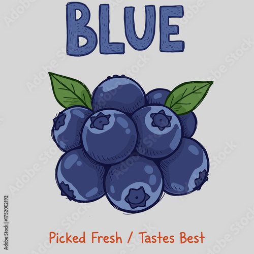 Blueberries fruit artwork. Blueberries art. Organic food artwork for for t-shirt. Organic farm poster design. Nature fruit club print design. Fresh Blueberries fruit print.