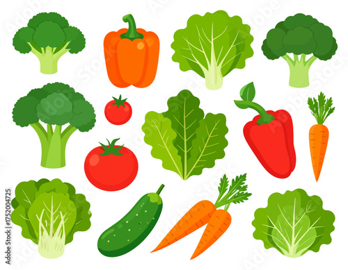 set of vector vegetables such as carrots, broccoli, tomatoes, cucumbers