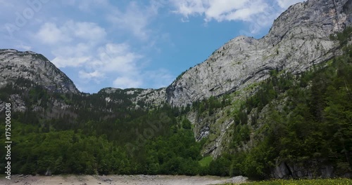 Alpine Lake Surrounded by Mountains and Forest in Austria
