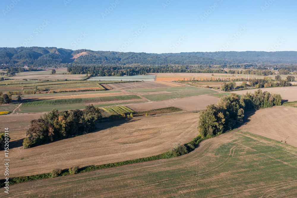 Fototapeta premium High resolution aerial drone photo of open farmland on Sauvie Island in Portland Oregon, showing wide agricultural fields, roads, trees, and distant hills under clear blue sky on a calm autumn morning