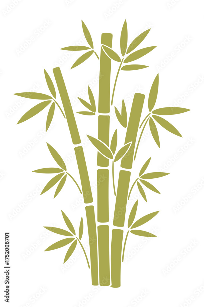 Obraz premium Bamboo Stalk Vector Illustration Green Plant Tropical Nature Asia Zen
