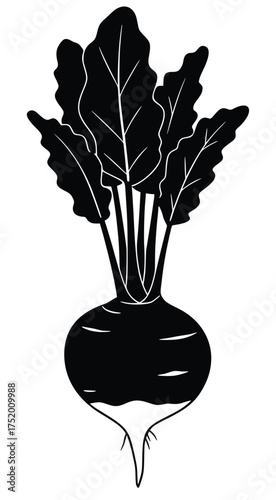 Healthy Harvest: A stark black and white illustration of a vibrant beetroot, capturing the essence of freshness, showcasing its nutritious leaves and round root.