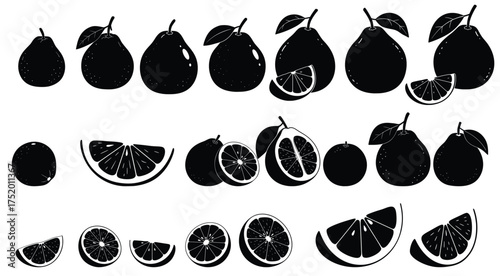 Citrus Fruit Set: A series of citrus fruit displayed as detailed illustrations, capturing the essence of freshness and natural taste. 