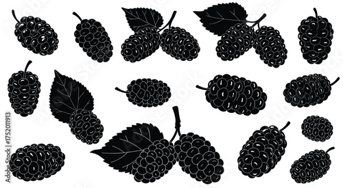Mulberries on display: An assortment of ripe, juicy mulberries, each with its unique shape and texture, presented as a delicious, healthy food. 