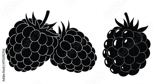 Blackberry Graphic: Illustrative close-up view of three ripe blackberries, rendered in bold black against a stark background, showcasing the intricate details of these succulent fruits.