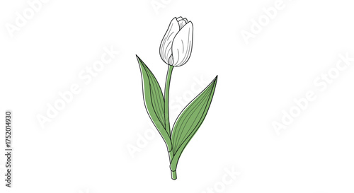 Simple hand-drawn illustration of a single tulip flower with two leaves and a stem.