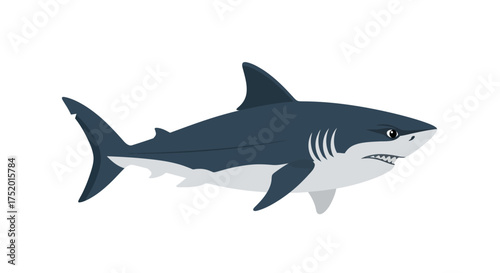 Cartoon illustration of a great white shark in a simplistic and stylized manner