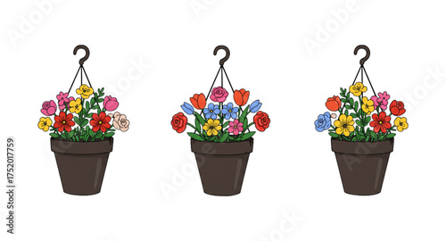 colorful flowers in pots
