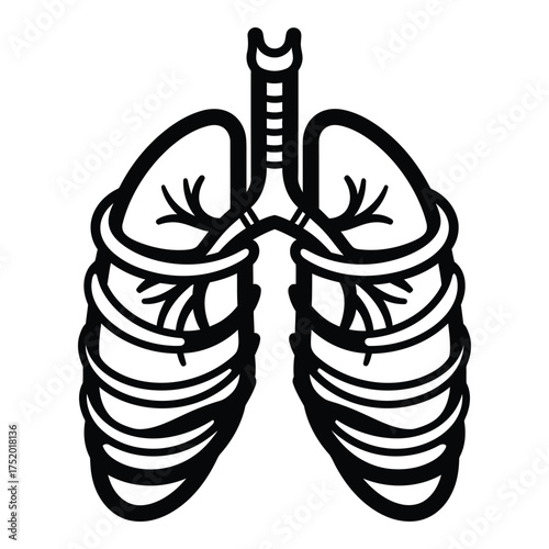 Human lungs and rib cage outline graphic for medical educational purposes featuring clear anatomical representation and simple design suitable for various applications