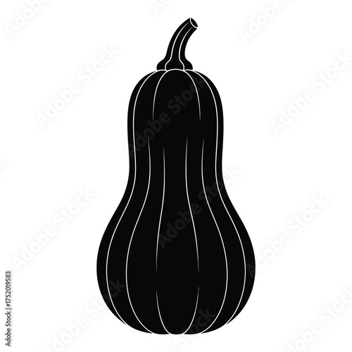 Silhouette of a butternut squash a classic autumn vegetable perfect for seasonal cooking and harvest decor concepts
