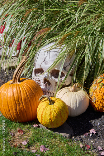 Halloween spooky characters