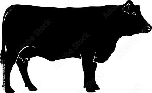 Beef Cow Silhouette. This image shows a black silhouette of a beef cow, also referred to as cattle or bovine, standing in profile view. Vector clipart illustration design.
