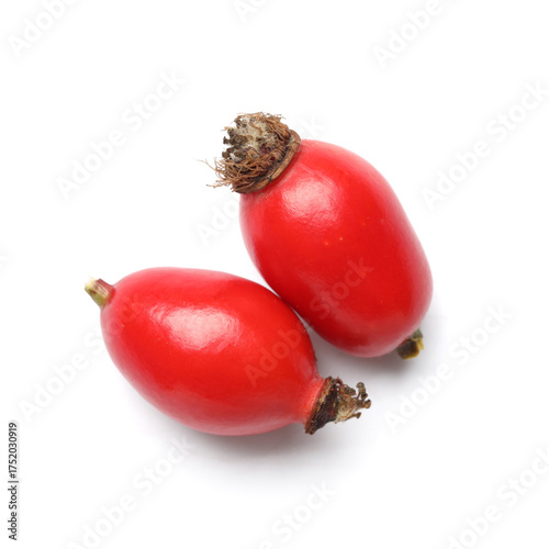 Two fresh red rose hips, na...
