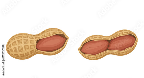 Peanut in shell vector illustration set. Cracked open groundnut with one and two kernels inside. Healthy organic food, snack ingredient. Natural protein source cartoon icon.