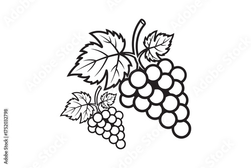 Elegant black and white vector illustration of grape bunches with leaves. Perfect for wine labels, logos, coloring pages, packaging design, and digital artwork.