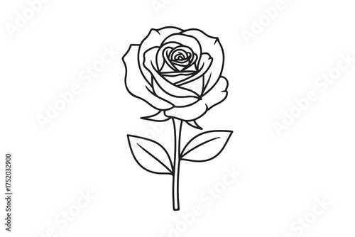Single open rose with stem and two leaves in black outline on white