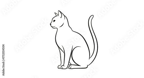 White Outline of a Sitting Cat on Black Background isolated on a transparent background