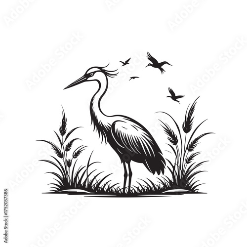 Exotic crane or heron bird
