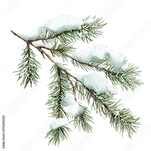 Watercolor Snowy Pine Branch Clipart