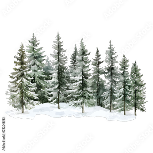 Watercolor Snowy Pine Tree Forest
