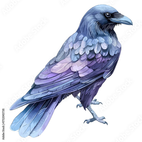 Watercolor Mystical Raven with Blue and Purple Feathers
