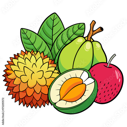 Gorgeous exotic fruit set vector illustration