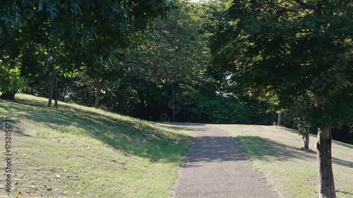 公園の遊歩道