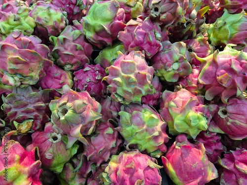 Fresh dragon fruit with bright colors arranged neatly
