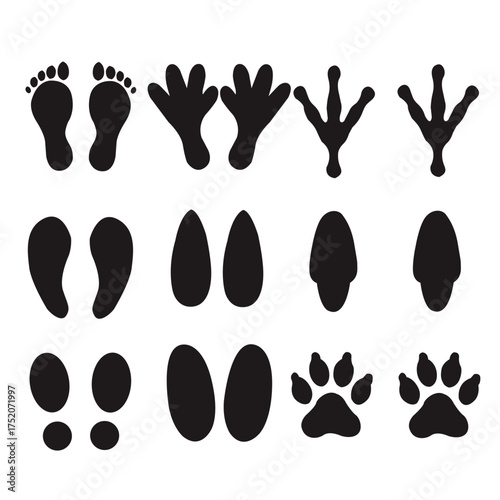 Footprint silhouette vector set. Human and animal tracks collection. Paw and shoe print icons, wildlife trail design elements ands black footprints isolated on white background