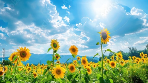 Sunny Spring & Summer Meadows: Yellow Sunflowers, Blue Skies, and Bees in Rural Flower Fields & Gardens