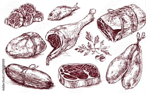 Assortment of Delicious Meats and Fish Illustrated with Sketch Style Drawing Perfect for Culinary Projects