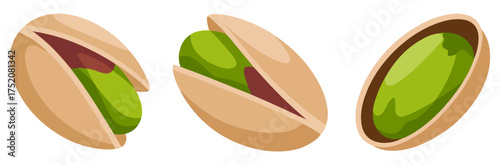 whole pistachio nut cute cartoon vector icon