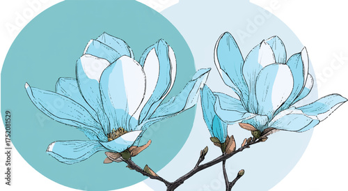 Beautiful blue magnolia flowers illustration with overlapping circles in pastel shades graphic design perfect for spring season projects