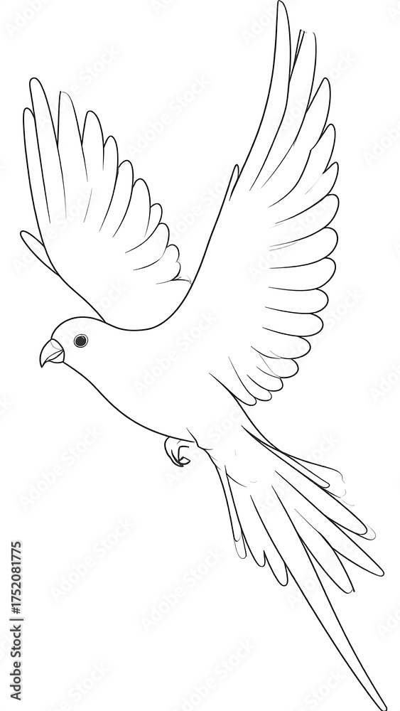Obraz premium Elegant Bird in Flight - A Simple Line Art Illustration.
