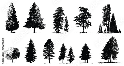 Collection of Black Silhouette Trees Isolated on White Background for Nature Illustration Projects and Design Concepts
